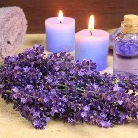 奥登霍夫费伦酒店 拜尔斯布龙