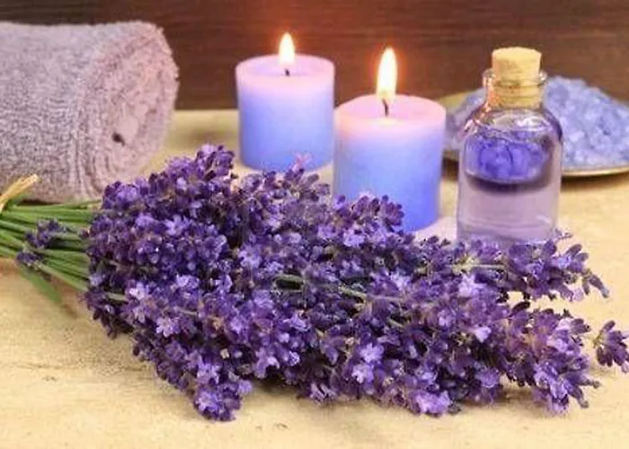 Oedenhof Baiersbronn